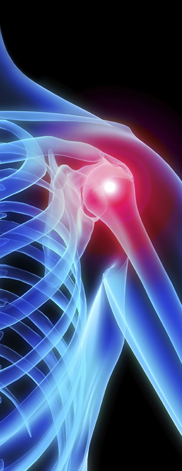 giorgio graziano torino