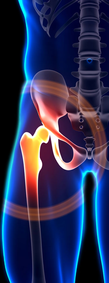 giorgio graziano torino