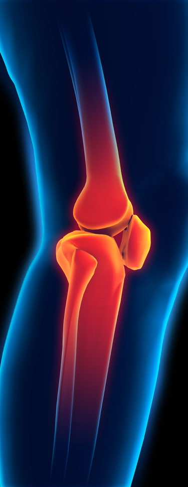 giorgio graziano torino