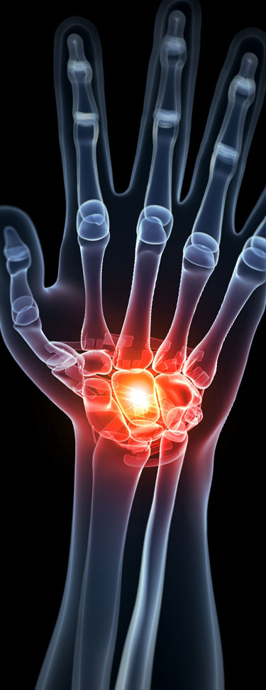 giorgio graziano torino