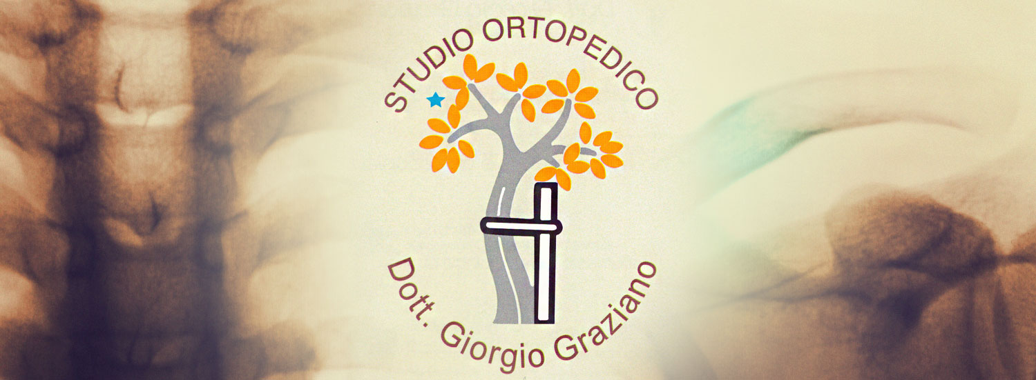 giorgio graziano torino